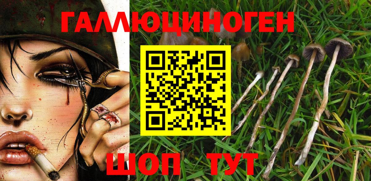 Южноуральск  дарнет шоп  Вход с VPN  Галлюциногенные грибы Cubensis 